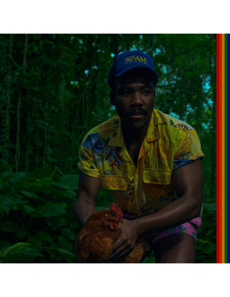 Childish Gambino - Bando Stone And The New World