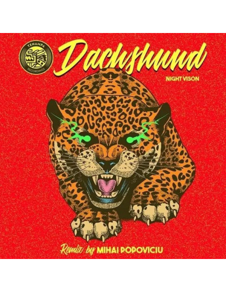 Dachshund - Night Vision (Mihai Popoviciu Remix)