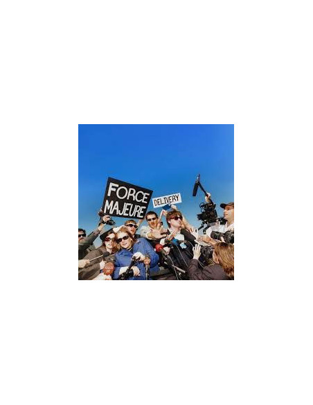 Delivery - Force Majeure