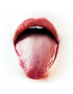 Valtysdottir Gyda - Ox