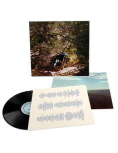 Ty Segall - Possession