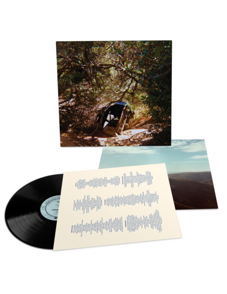 Ty Segall - Possession