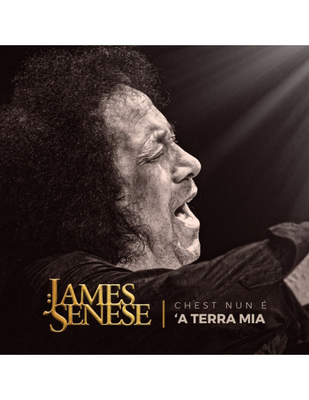 James Senese - Chest Nun E 'A Terra Mia