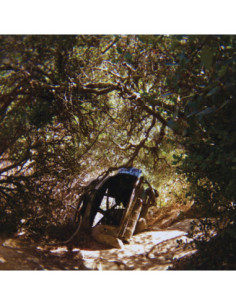 Ty Segall - Possession - (CD)