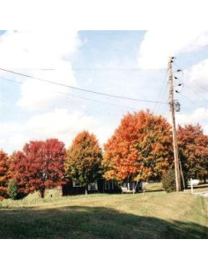 Vegas Water Taxi - Things Are Gonna Be Alright (Extended Ed