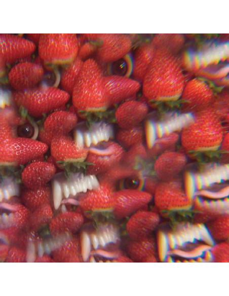 Oh Sees - Floating Coffin (Reissue)