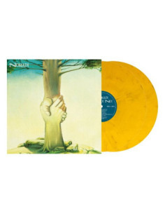 Nomadi - Ma Noi No! 2 Vinili Gialli Marmorizzati