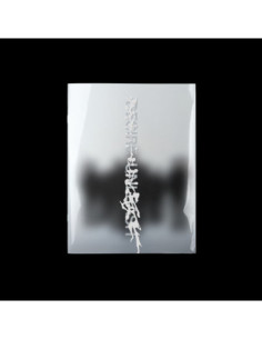 Enhypen - Desire: Unleash Make - (CD)