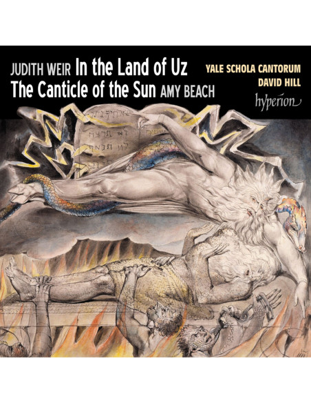 Hill/Ysc - In The Land Of Uz and Beach - (CD)