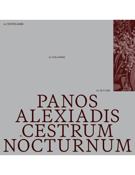 Alexiadis, Panos - Cestrum Nocturnum