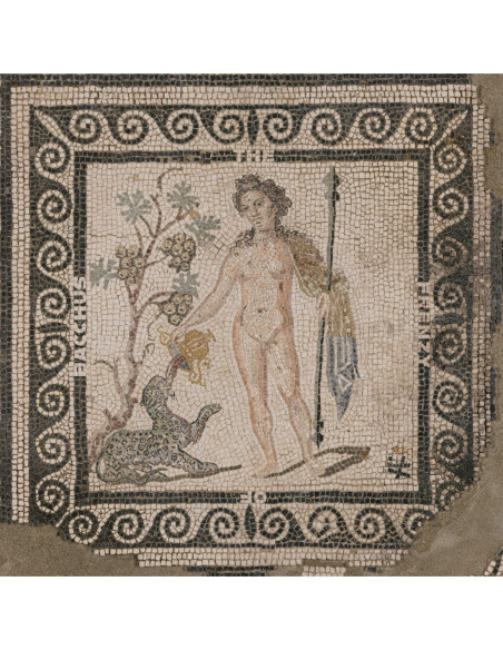 Asm - The Frenzy Of Bacchus