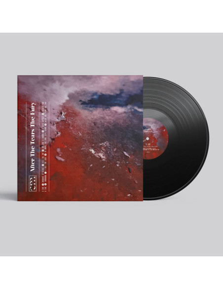 Closed Mouth - After The Tears The Fury