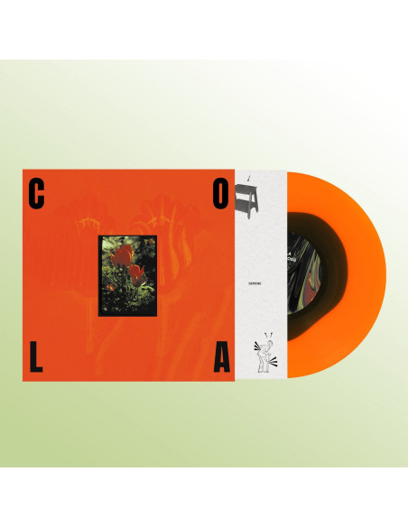 Cola - Gloss