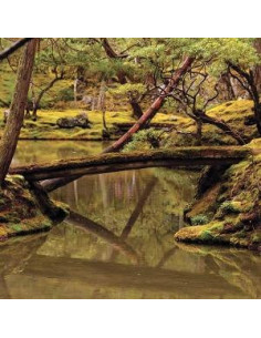 Rebecca Foon and Aliay - Reverie