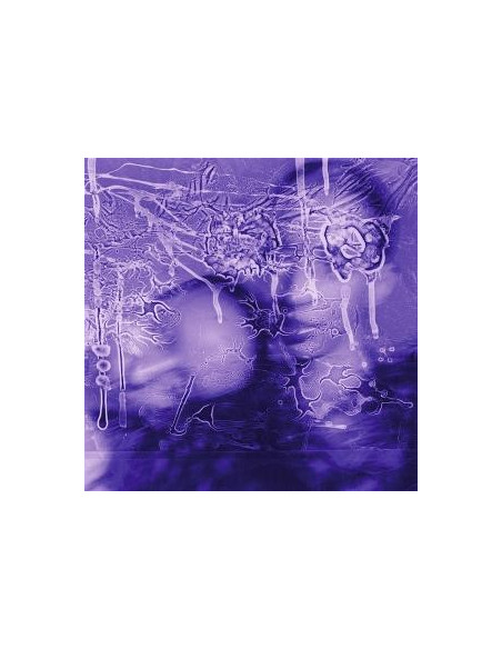 Sirens Of Lesbos - I Got A Song, It S Gonna Make Us Million
