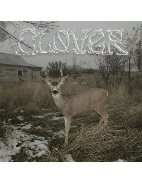 Sleeper'S Bell - Clover