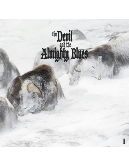 Devil And The Almigh - Ii - (CD)