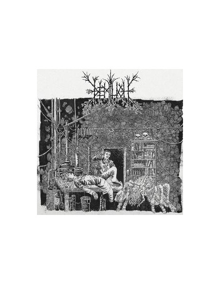 Demilich - Em9T2Ness Of Van2S1Ing / V34Ish6Ng Of Em - (CD)