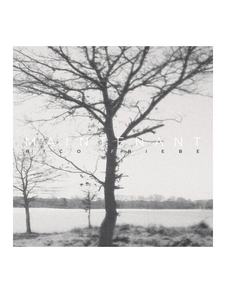 Friebe, Rico - Maintenant - (CD)