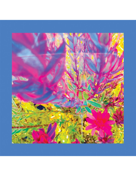 Reds Pinks And Purpl - Past Is A Garden I Never Fed - (CD)
