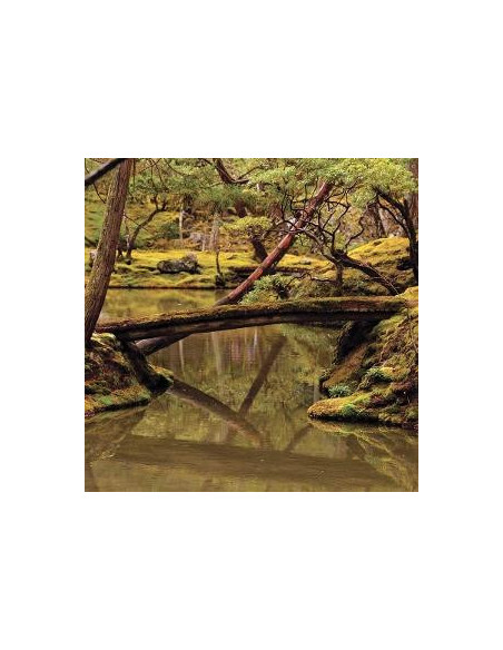 Rebecca Foon and Aliay - Reverie - (CD)
