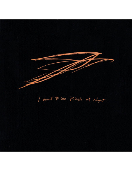 Bird, Andrew - I Want To See Pulaski At Night - (CD)
