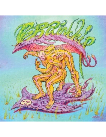 Brainchip - Brainchip