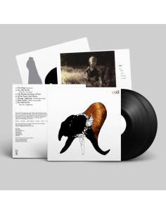 Coil - Black Antlers