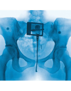 Lorde - Virgin - (CD)