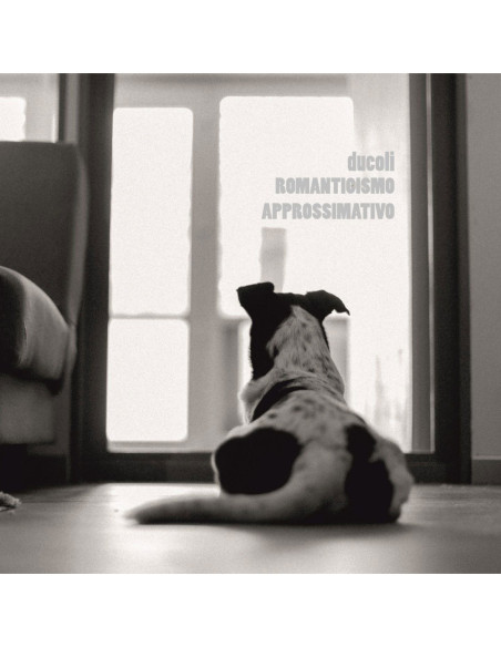 Ducoli Alessandro - Romanticismo Approssimativo - (CD)