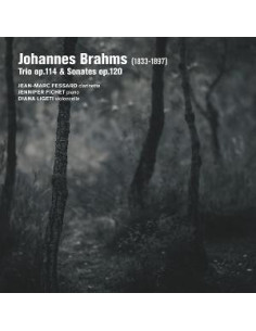 Jean-Marc Fessard-Je - Johannes Brahms (1833-1897) - (CD)