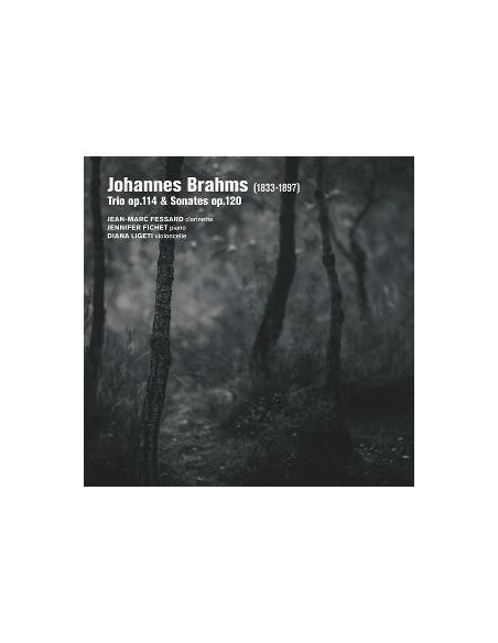 Jean-Marc Fessard-Je - Johannes Brahms (1833-1897) - (CD)