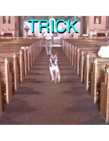 Alex G - Trick