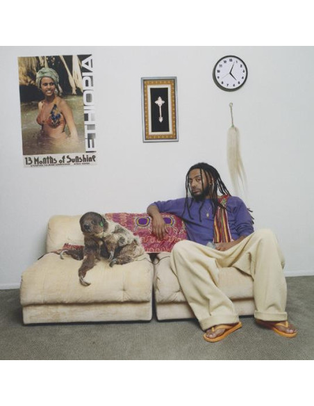 Amine - 13 Months Of Sunshine (Purple Vinyl)