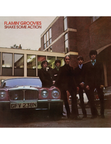 Flamin Groovies - Shake Some Action