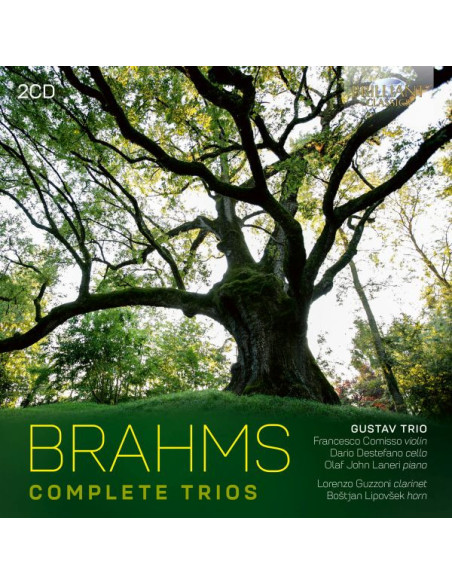 Gustav Trio, Francesco Comisso Violin, Dario Destefani Cello, Olaf John Laneri P - Complete Trios - (CD)