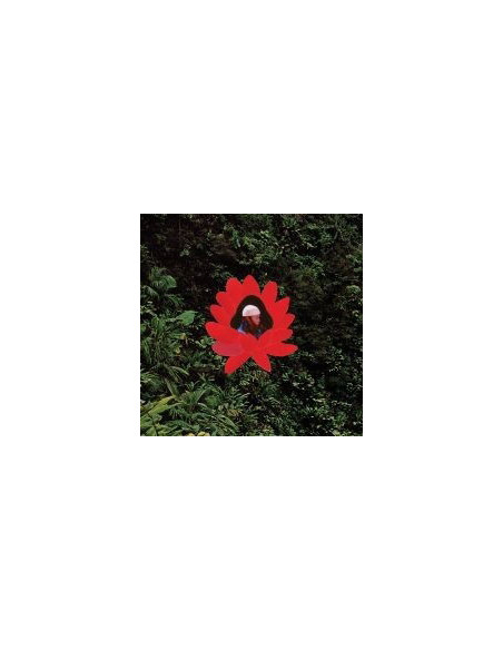 Lionmilk - When The Flowers Bloom
