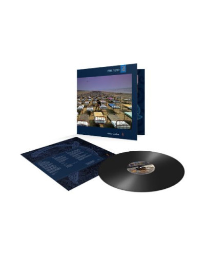 Pink Floyd - A Momentary Lapse Of Reason