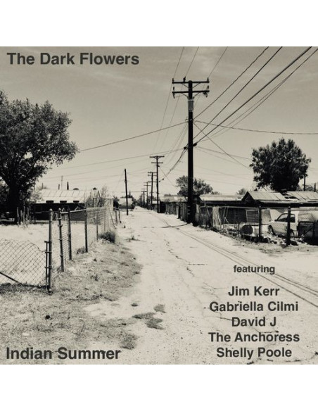 Dark Flowers - Indian Summer (Clear Vinyl)