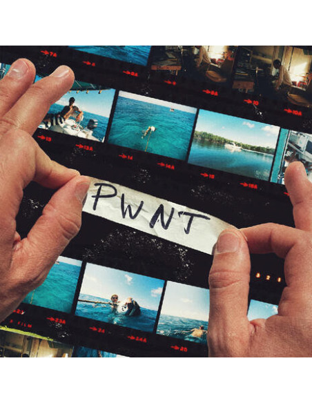 Pwnt - Play What S Not There