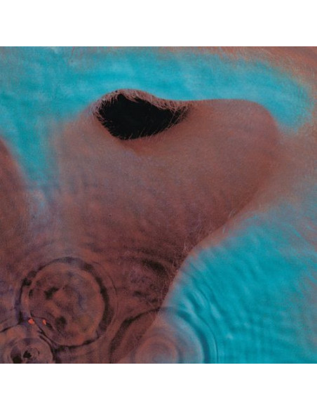 Pink Floyd - Meddle - (CD)