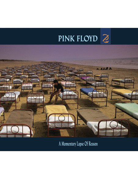 Pink Floyd - A Momentary Lapse Of Reason - (CD) (2025)