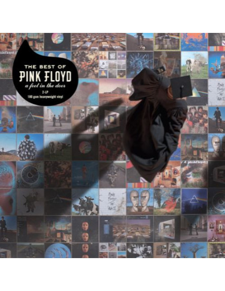 Pink Floyd - A Foot In The Door: The Best Of Pink Flo - (CD)