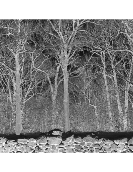 Pile - Sunshine And Balance Beams - (CD)