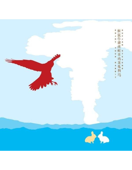 Stevens Sufjan - Enjoy Your Rabbit