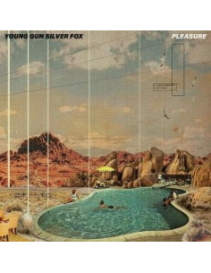 Young Gun Silver Fox - Pleasure