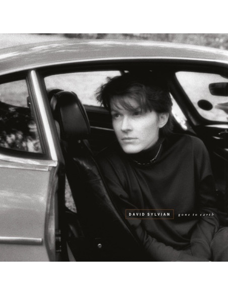 Sylvian David - Gone To Earth (2003 Remastered)