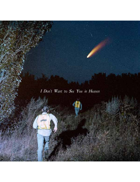 Callous Daoboys, The - I Don'T Want To See You In Heaven - (CD)