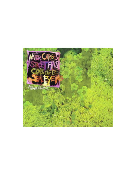 Animal Collective - Water Curses - (CD)