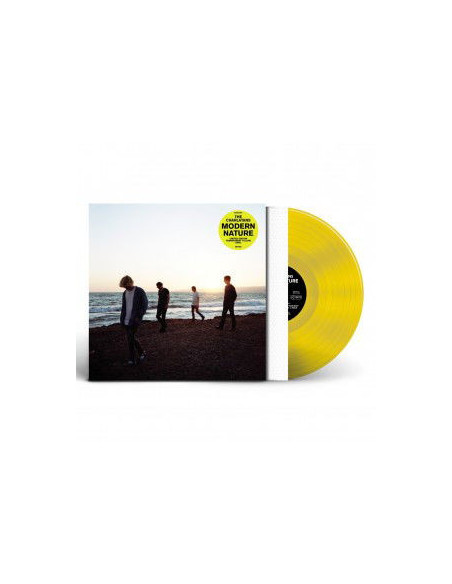 Charlatans - Modern Nature